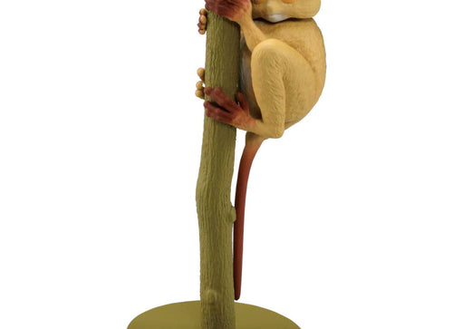 Load image into Gallery viewer, Takara Tomy ANIA animal Action Mini Figure -  AS-27 Tarsier

