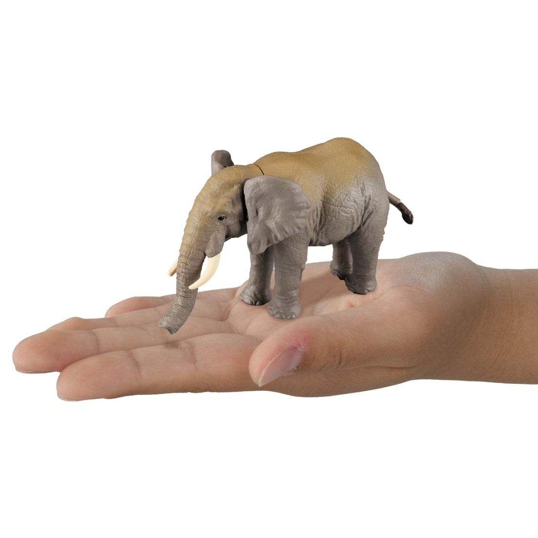 Takara Tomy Ania Shogakukan's Encyclopedia Neo Animals w/ Mini Field Guide