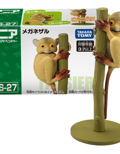 Load image into Gallery viewer, Takara Tomy ANIA animal Action Mini Figure -  AS-27 Tarsier

