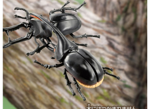 Load image into Gallery viewer, Takara Tomy Ania AL-39 Neptune Beetle Insect Series Action Figure
