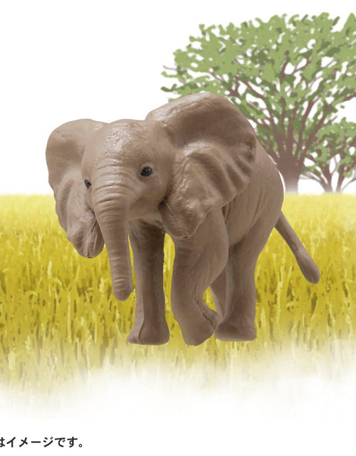 Load image into Gallery viewer, Takara Tomy ANIA animal Action Mini Figure - AC-02 Elephant (Child)
