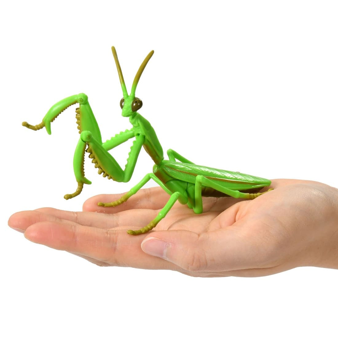 Takara Tomy Ania AL-32 Tenodera aridifolia Animal Mini Action Figure