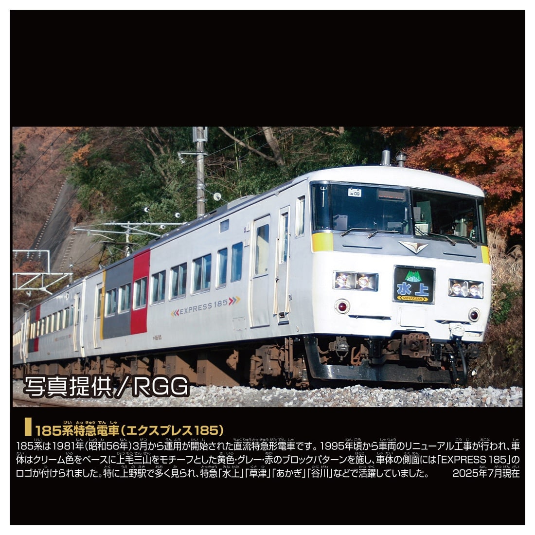 Takara Tomy Plarail Real Class Series 185 (Express 185) Motorized Train