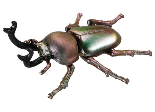 Load image into Gallery viewer, Takara Tomy ANIA animal Action Figure - AS-42 Phalacrognathus Muelleri
