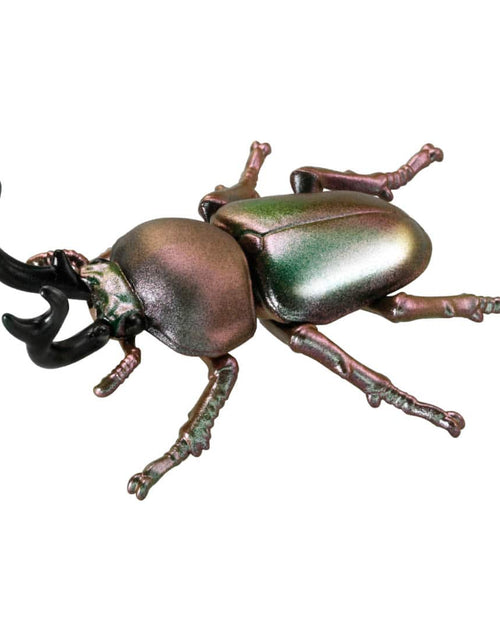 Load image into Gallery viewer, Takara Tomy ANIA animal Action Figure - AS-42 Phalacrognathus Muelleri
