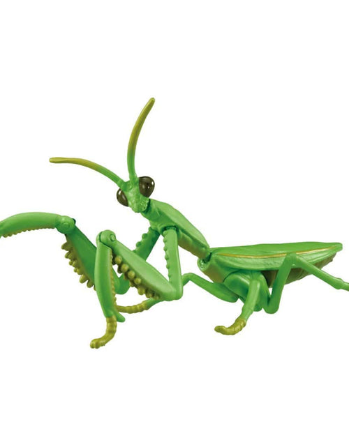 Load image into Gallery viewer, Takara Tomy Ania AL-32 Tenodera aridifolia Animal Mini Action Figure
