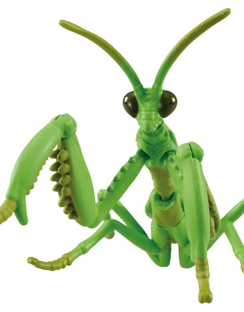 Load image into Gallery viewer, Takara Tomy Ania AL-32 Tenodera aridifolia Animal Mini Action Figure

