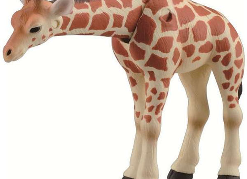 Load image into Gallery viewer, Takara Tomy ANIA Animal Action Figure AS-12 Reticulated Giraffe Kid Version

