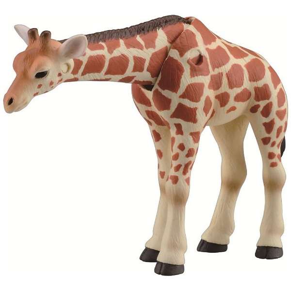 Takara Tomy ANIA Animal Action Figure AS-12 Reticulated Giraffe Kid Version