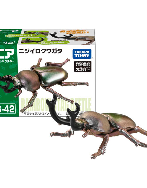 Load image into Gallery viewer, Takara Tomy ANIA animal Action Figure - AS-42 Phalacrognathus Muelleri
