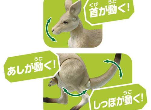 Load image into Gallery viewer, Takara Tomy ANIA AS-21 Kangaroo animal Action Figure
