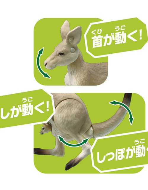 Load image into Gallery viewer, Takara Tomy ANIA AS-21 Kangaroo animal Action Figure

