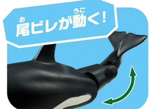 Load image into Gallery viewer, Takara Tomy ANIA Animal AL-08 Killer Whale Parent-Child Action Figure

