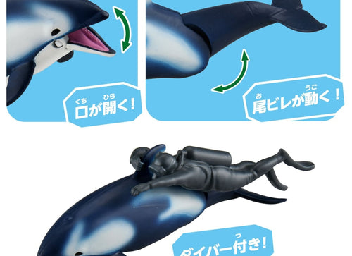 Load image into Gallery viewer, Takara Tomy Ania AL-40 Pacific White-Sided Dolphin with diver (Floating Version)

