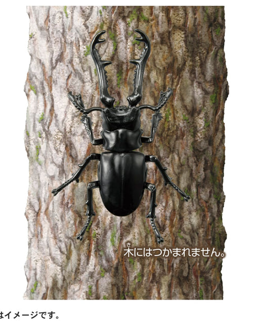 Load image into Gallery viewer, Takara Tomy ANIA animal Action Figure - AS-40 Prosopocoilus Giraffa
