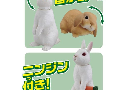 Load image into Gallery viewer, Takara Tomy ANIA Animal Advantage AS-34 Rabbit with Carrot Action figure Model
