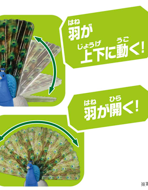 Load image into Gallery viewer, Takara Tomy ANIA animal Action Mini Figure -  AS-16 Peacock
