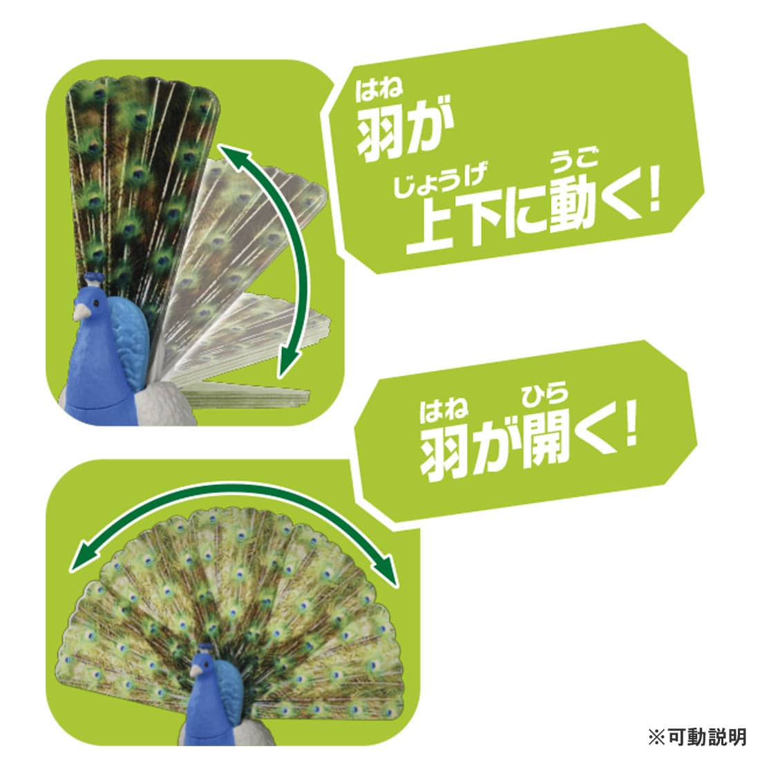 Takara Tomy ANIA animal Action Mini Figure -  AS-16 Peacock