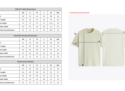 Load image into Gallery viewer, MINI GT Official T-shirt - Driven by Passion White L Size
