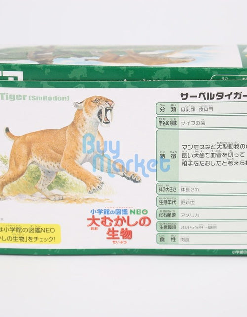 Load image into Gallery viewer, Takara Tomy ANIA Animal AL-10 Saber Tiger with primitive man Action Figure Toy
