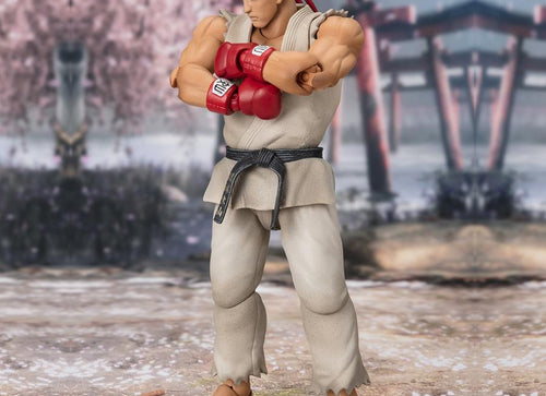 Load image into Gallery viewer, Bandai Tamashii S.H.Figuarts Street Fighter RYU Outfit 2 Figure
