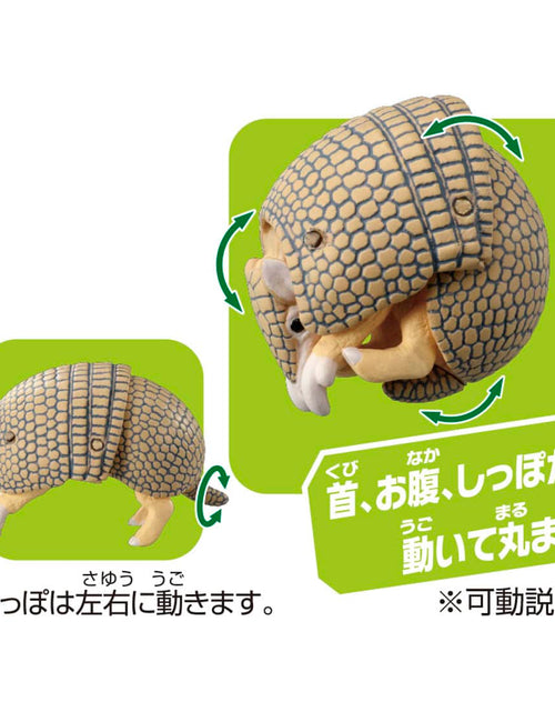 Load image into Gallery viewer, Takara Tomy ANIA animal Action Figure - AS-45 Armadillo (Brazilian Three-Banded)
