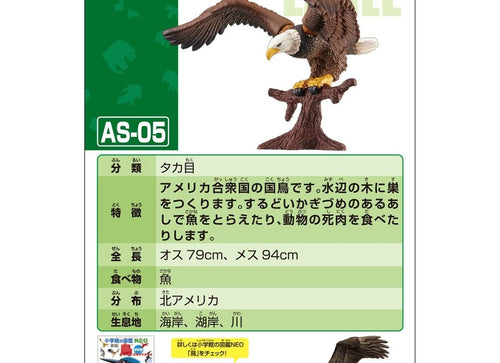 Load image into Gallery viewer, Takara Tomy ANIA Animal AS-05 Bald Eagle Mini Action Figure Eductional Toy Japan
