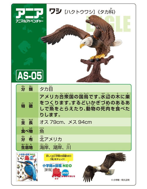 Load image into Gallery viewer, Takara Tomy ANIA Animal AS-05 Bald Eagle Mini Action Figure Eductional Toy Japan
