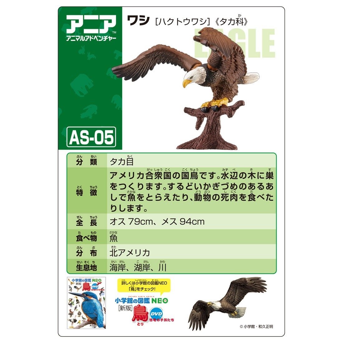 Takara Tomy ANIA Animal AS-05 Bald Eagle Mini Action Figure Eductional Toy Japan