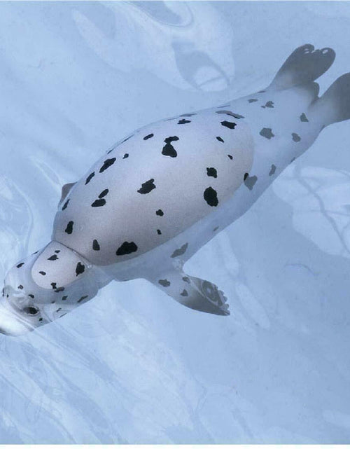 Load image into Gallery viewer, Takara Tomy ANIA Animal AS-22 Spotted Seal Floatable Ver. Mini Action Figure
