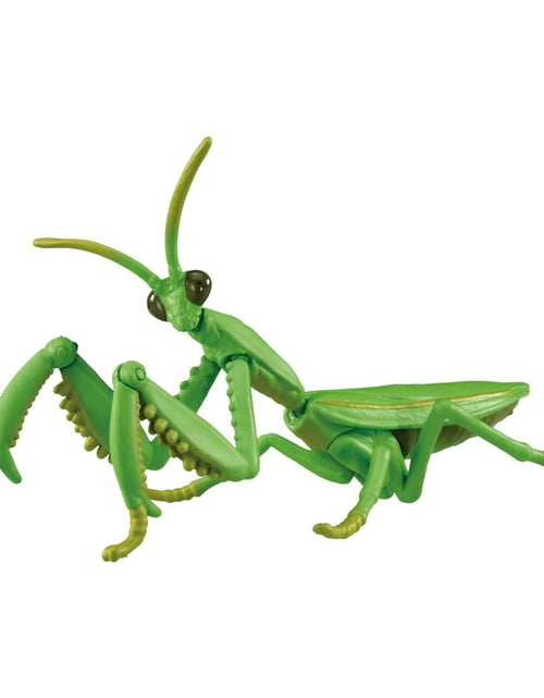 Load image into Gallery viewer, Takara Tomy Ania AL-32 Tenodera aridifolia Animal Mini Action Figure
