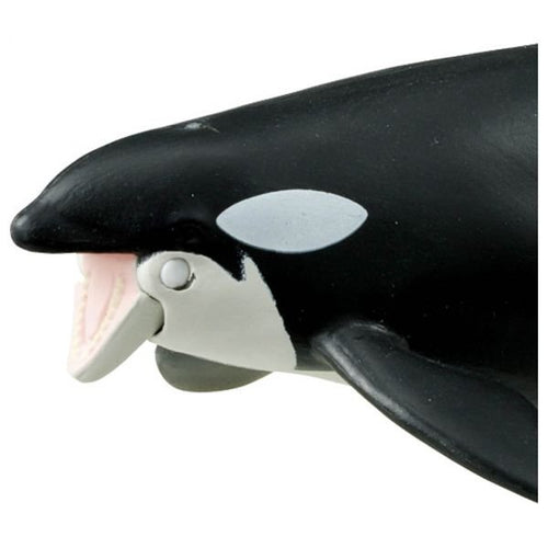 Load image into Gallery viewer, Takara Tomy ANIA Animal AL-08 Killer Whale Parent-Child Action Figure
