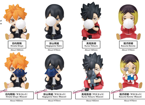 Load image into Gallery viewer, Takara Tomy Arts PERIHAPI! Hide &amp; Seek Kakurenbo Haikyu!! Karasuno Nekoma (Set of 8)

