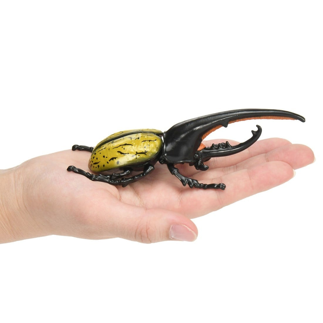 Takara Tomy ANIA AL-17 Dynastes Hercules Beetle Insects Figure 15cm