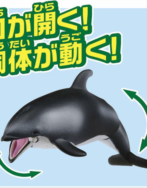 Load image into Gallery viewer, Takara Tomy ANIA Animal AS-19 White-sided Dolphin Floatable Ver. Action Figure
