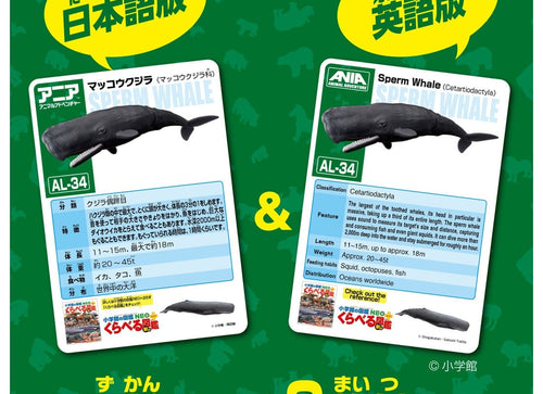 Load image into Gallery viewer, Takara Tomy Ania AL-34 Sperm Whale (Floating Version) Animal Figure
