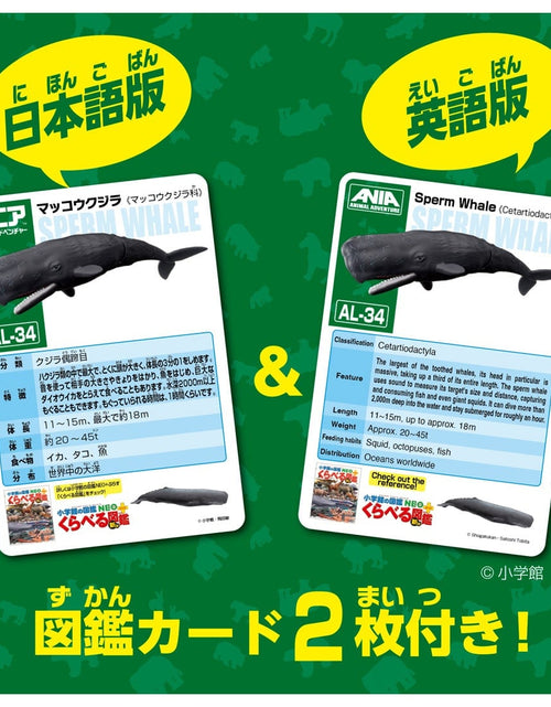 Load image into Gallery viewer, Takara Tomy Ania AL-34 Sperm Whale (Floating Version) Animal Figure
