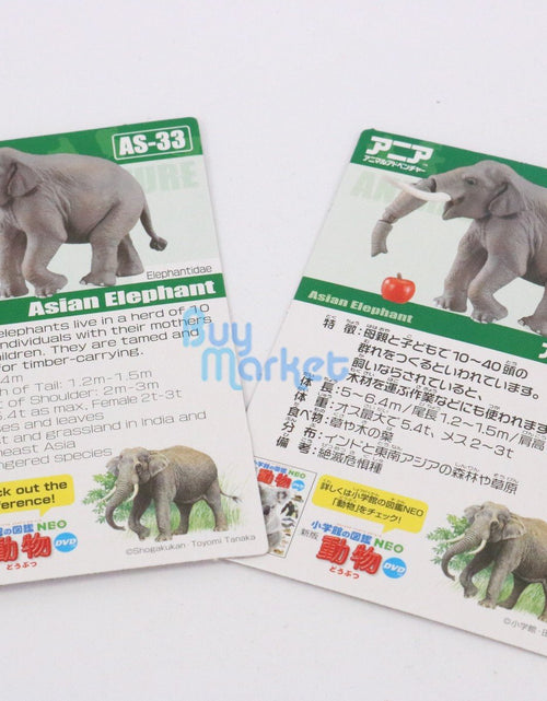 Load image into Gallery viewer, Takara Tomy ANIA Animal Advantage AS-33 Indian Elephant Action figure Model
