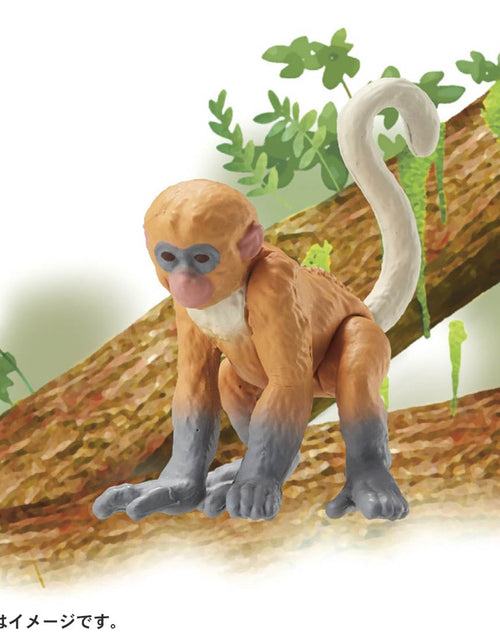 Load image into Gallery viewer, Takara Tomy ANIA animal Action Mini Figure - AC-11 Proboscis Monkey (Child)
