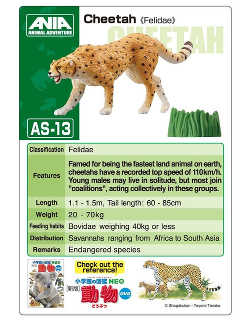 Load image into Gallery viewer, Takara Tomy ANIA Animal AS-13 Cheetah (Wild ver.) Mini Action Figure Toy Japan
