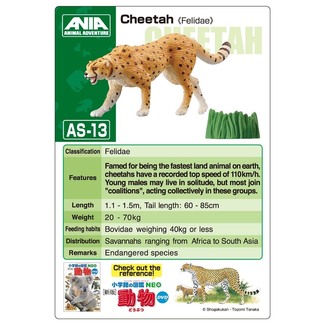 Takara Tomy ANIA Animal AS-13 Cheetah (Wild ver.) Mini Action Figure Toy Japan