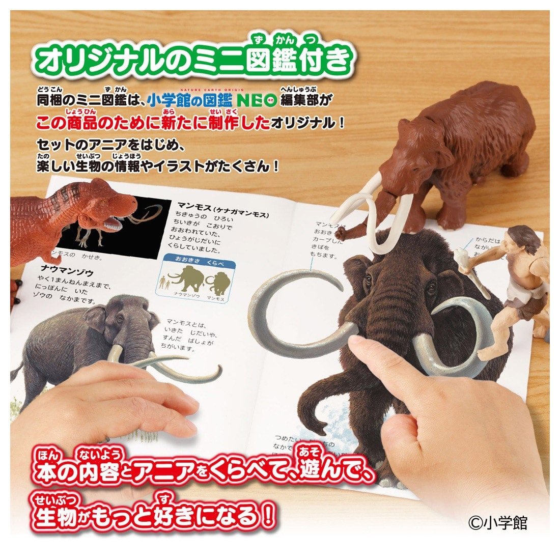Takara Tomy Ania Shogakukan Encyclopedia Neo Prehistoric Creatures w/mini Guide