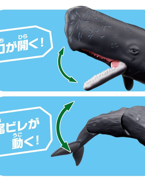 Load image into Gallery viewer, Takara Tomy Ania AL-34 Sperm Whale (Floating Version) Animal Figure
