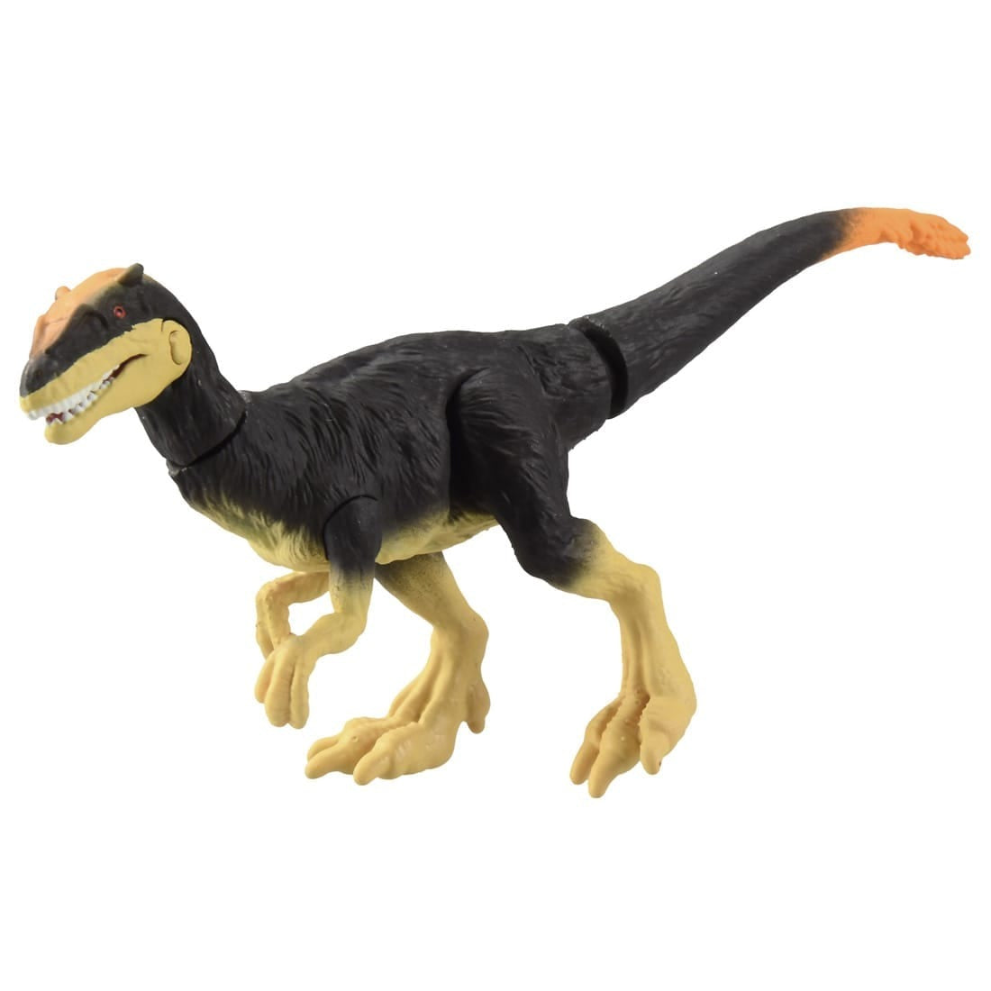 Takara Tomy ANIA Animal Adventure Action Figure AS-23 Dilong Dillon 5CM