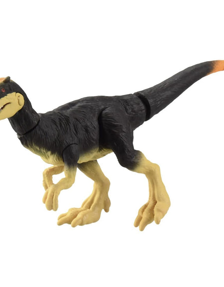 Takara Tomy ANIA Animal Adventure Action Figure AS-23 Dilong Dillon 5CM