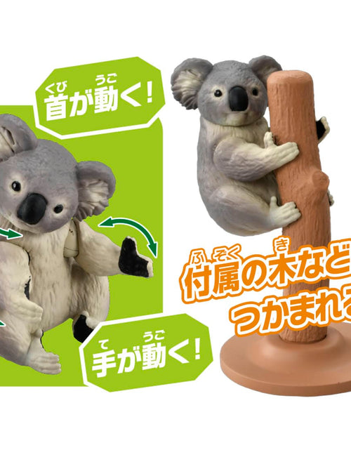 Load image into Gallery viewer, Takara Tomy ANIA animal Action Mini Figure -  AS-24 Koala (Grabbing Ver.)

