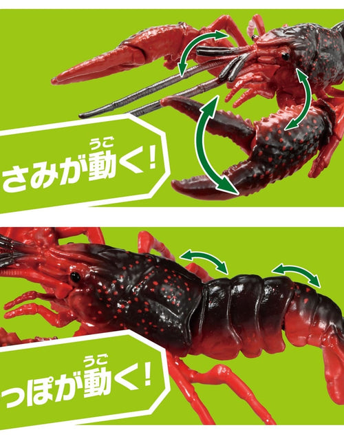 Load image into Gallery viewer, Takara Tomy Ania AL-31 Procambarus clarkii Animal Mini Action Figure
