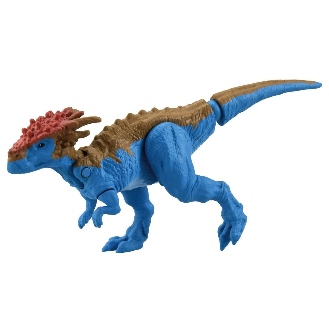Takara Tomy ANIA Animal Adventure Action Figure AS-24 Dracorex Dinosaur 5CM