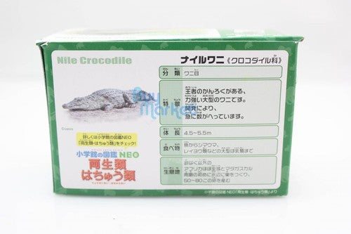 Takara Tomy ANIA AS-08 ANIMAL Nile Crocodile Mini Action Figure Educational Toy