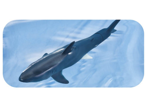 Load image into Gallery viewer, Takara Tomy ANIA AL-11 - Megalodon (Flateable Ver.) animal Action Figure
